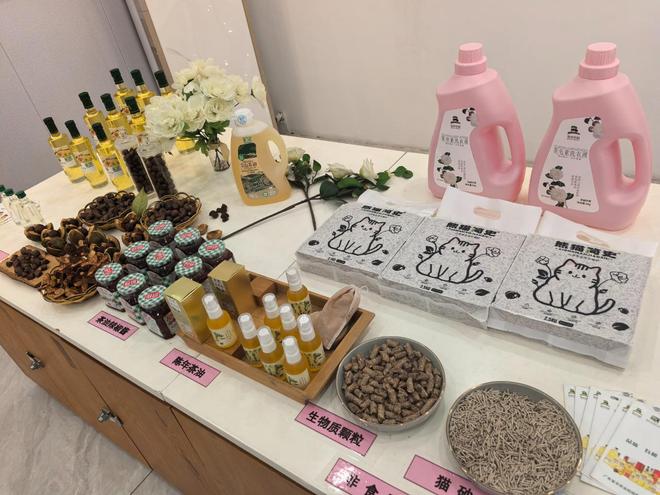 滴油流出广东韶关油茶产业新未来麻将胡了从餐桌走向梳妆台 一(图2)